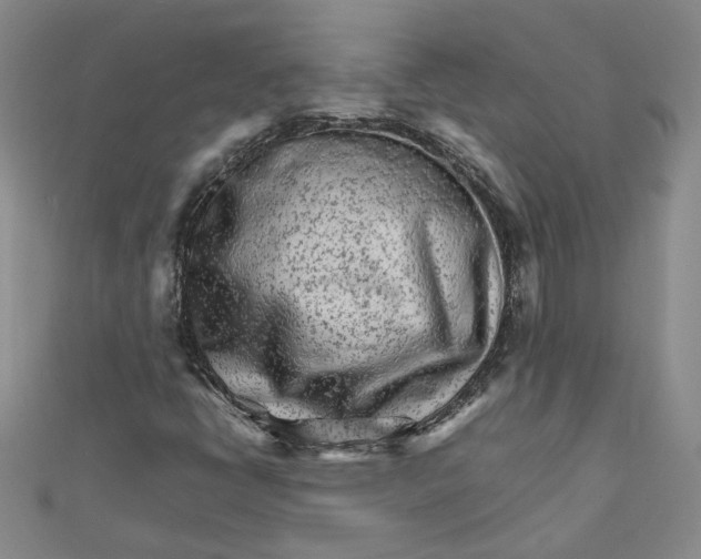 X0000111681398200908071415