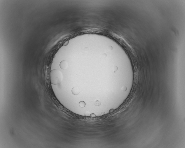 X0000111681399200908071415