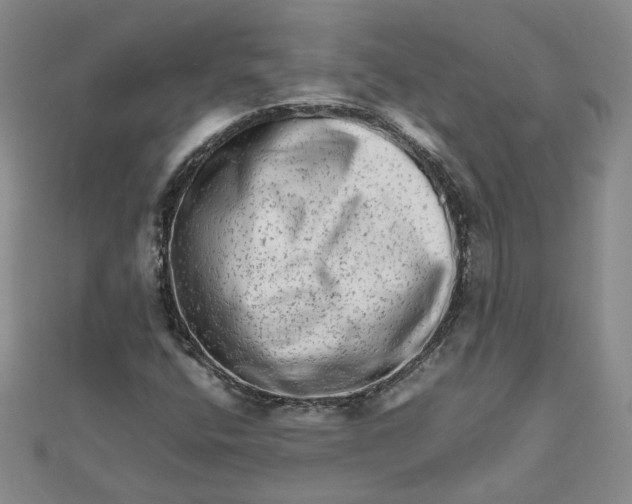 X0000111681400200908071415