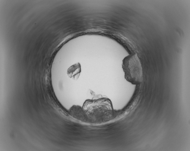 X0000111681401200908071415