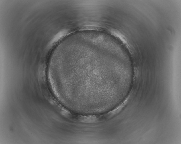 X0000111681403200908071415