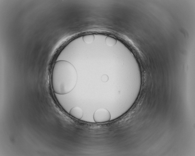 X0000111681408200908071415