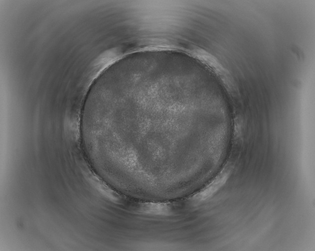 X0000111681409200908071415