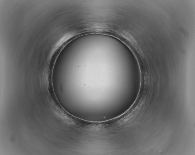 X0000111681410200908071415