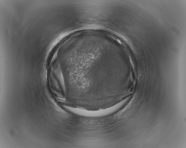 X0000111681414200908071416