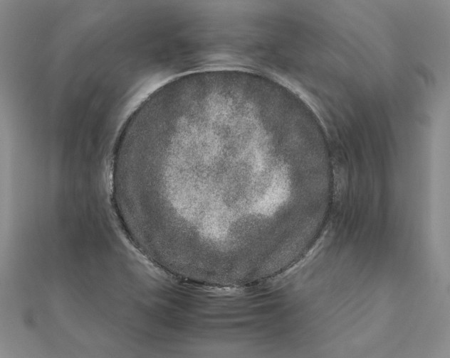 X0000111681415200908071416