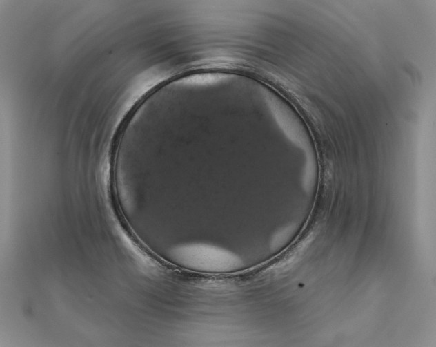 X0000111681418200908071416