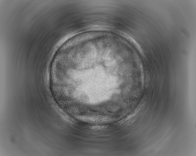 X0000111681419200908071416