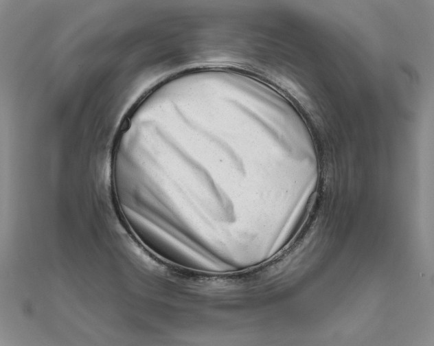 X0000111681420200908071416