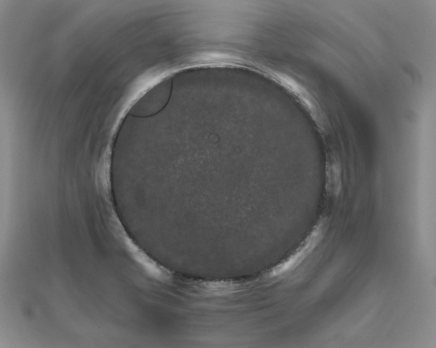 X0000111681421200908071416