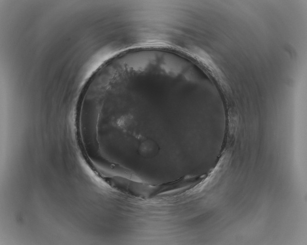 X0000111681422200908071416