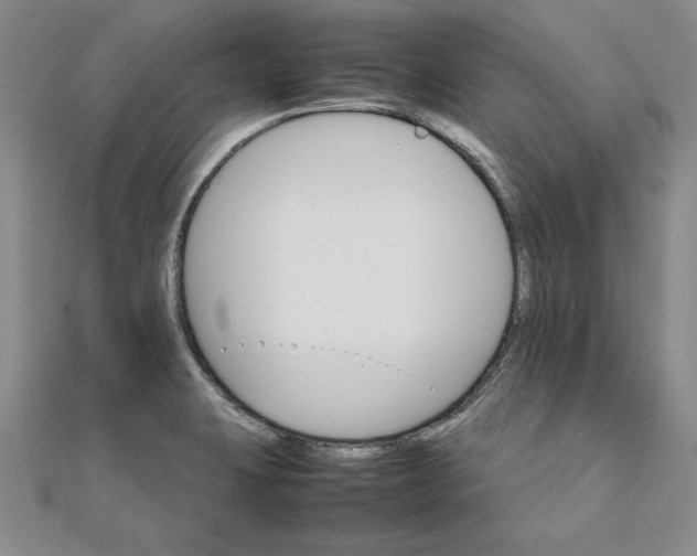 X0000111681423200908071416