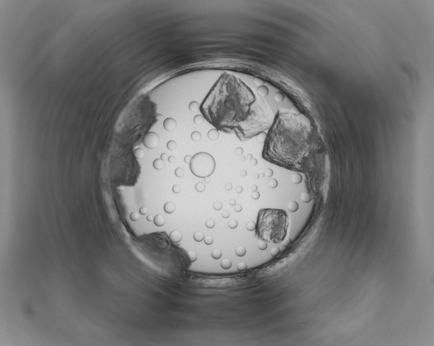 X0000111681425200908071416