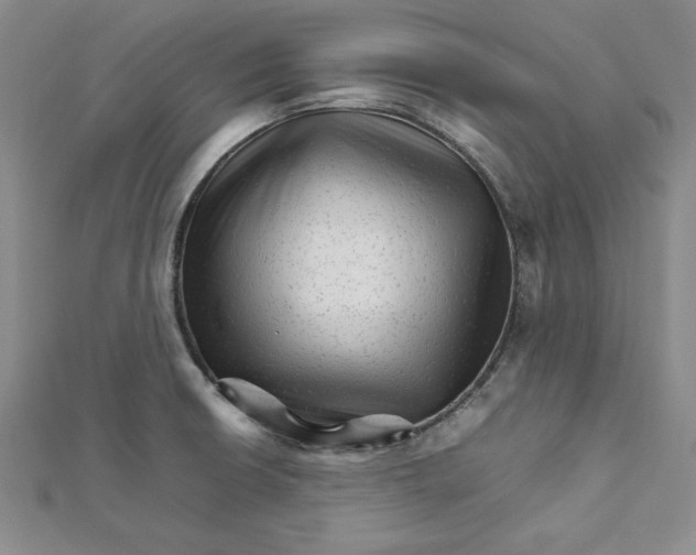 X0000111681426200908071416