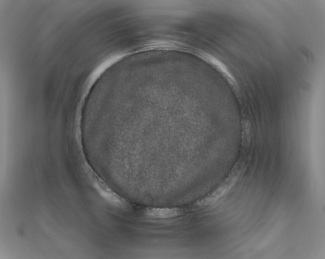 X0000111681427200908071416