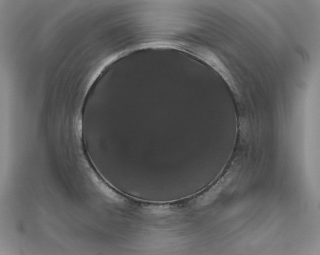 X0000111681428200908071416