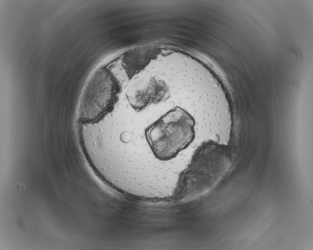 X0000111681429200908071416