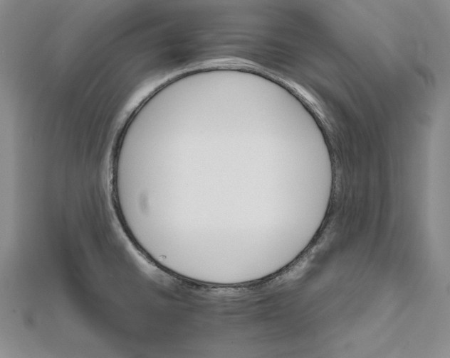 X0000111681430200908071416