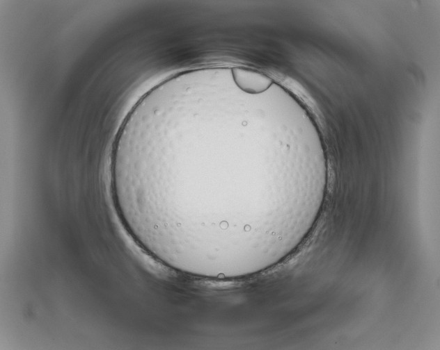 X0000111681431200908071416