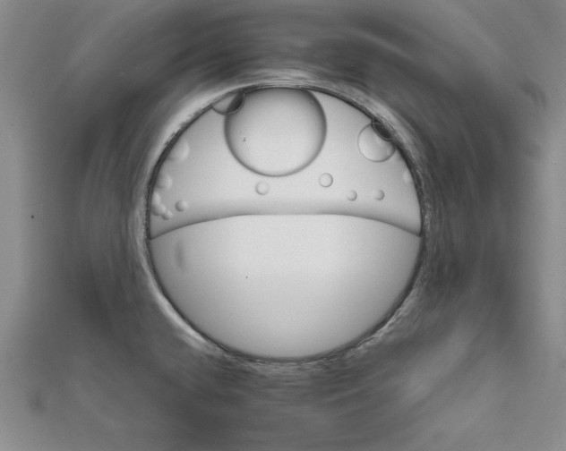 X0000111681432200908071416