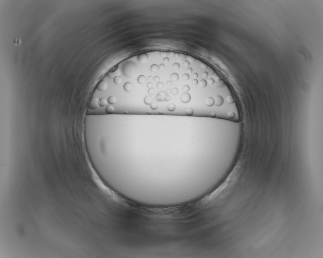 X0000111681433200908071416