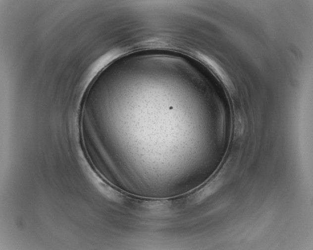 X0000111681434200908071416