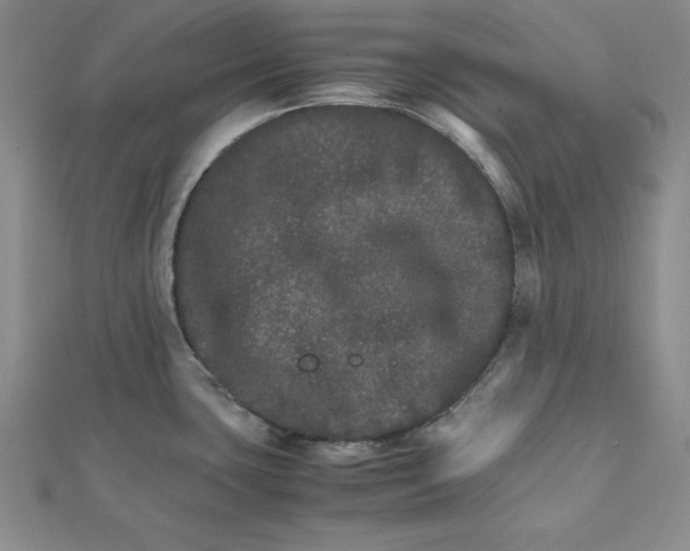 X0000111681435200908071416