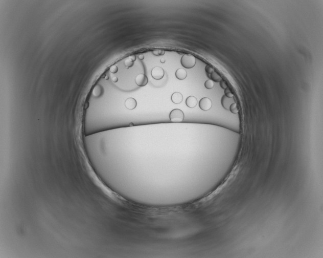 X0000111681437200908071416