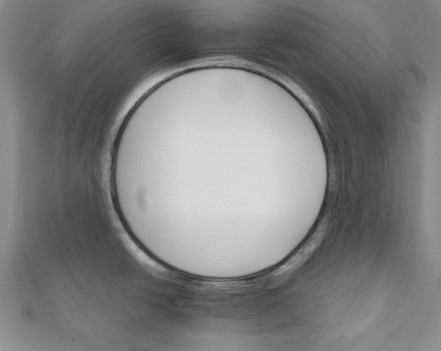 X0000111681438200908071416