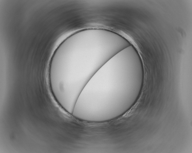 X0000111681440200908071416