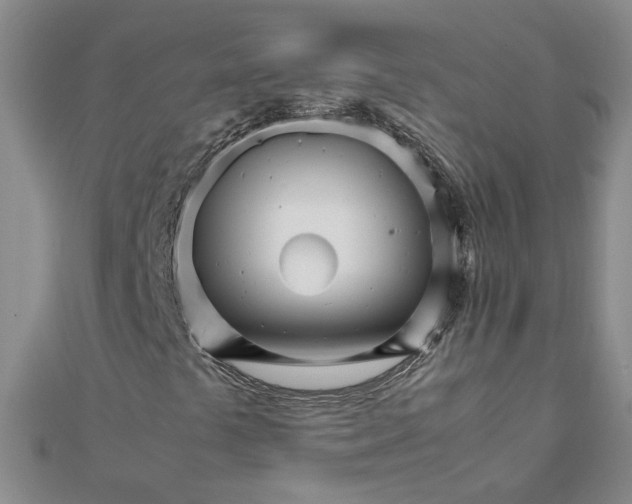 X0000111681441200908071415