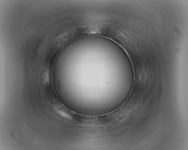 X0000111681442200908071415