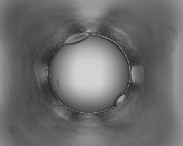 X0000111681443200908071415