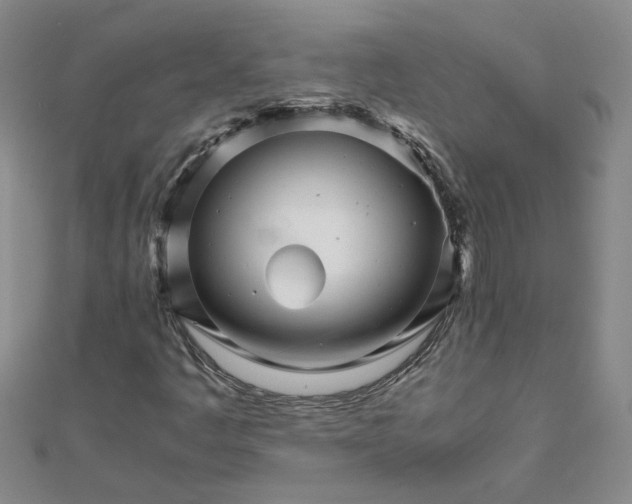 X0000111681445200908071415