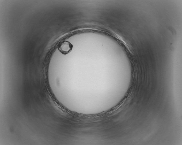 X0000111681448200908071415