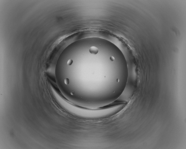 X0000111681449200908071415