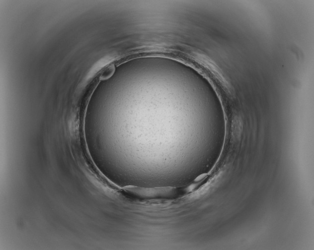 X0000111681450200908071415