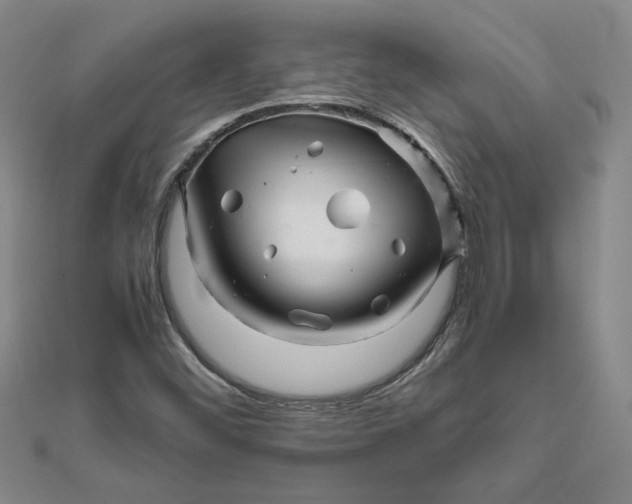 X0000111681452200908071415