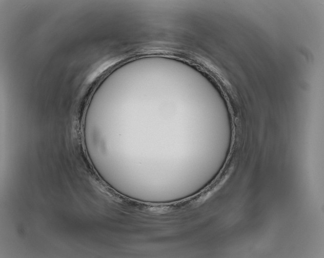 X0000111681453200908071415