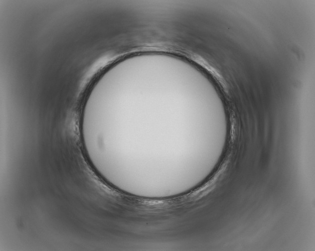 X0000111681454200908071415