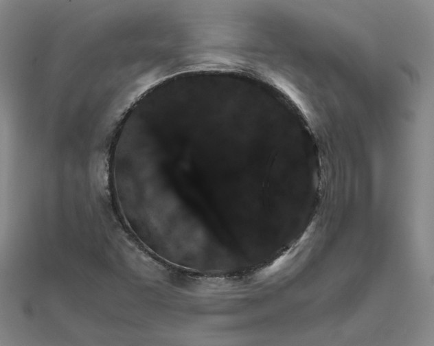 X0000111681455200908071415