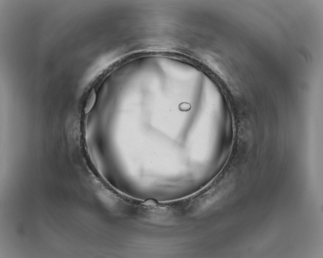 X0000111681456200908071415