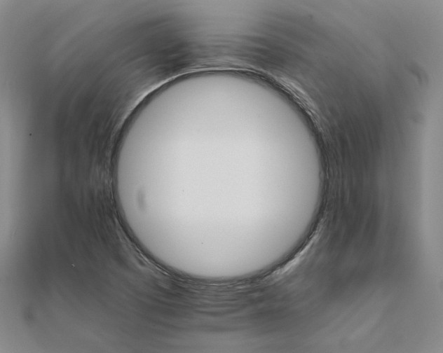 X0000111681457200908071415