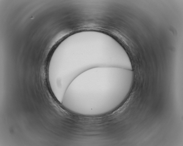 X0000111681458200908071415