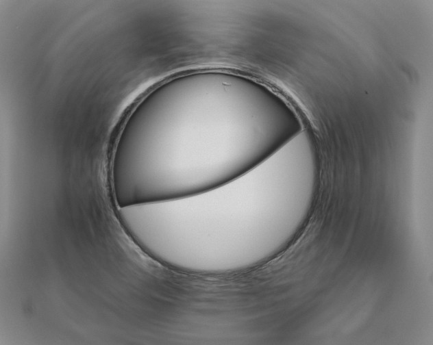 X0000111681460200908071415