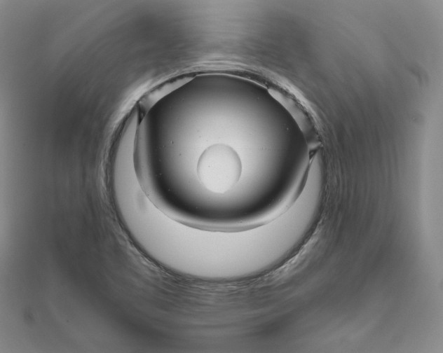 X0000111681461200908071415