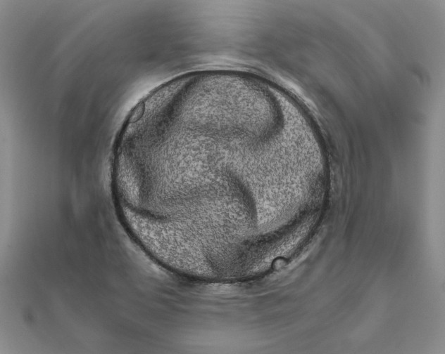 X0000111681463200908071415