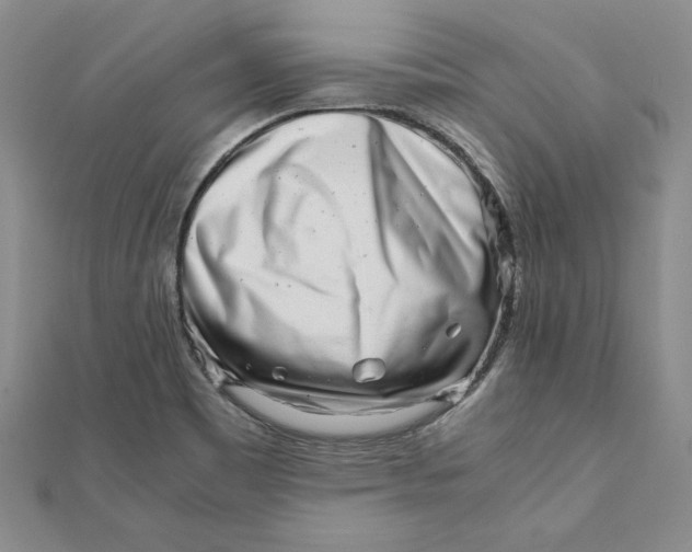 X0000111681465200908071415