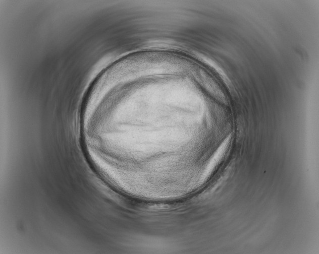 X0000111681467200908071415