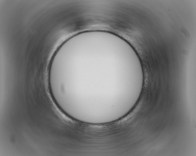 X0000111681470200908071415